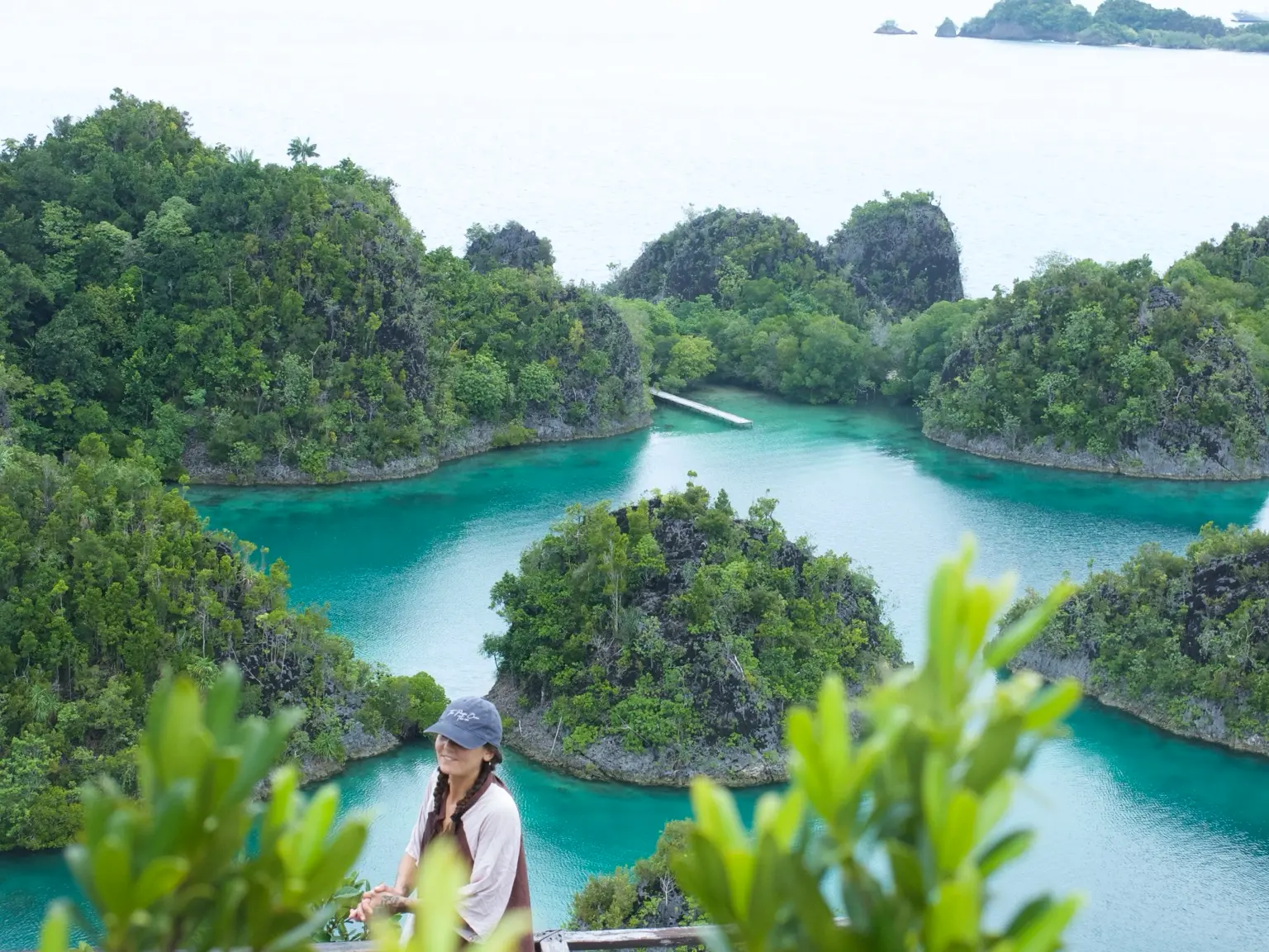 Mangrove archipelago and lagoon, Raja Ampat, Indonesia, 2025